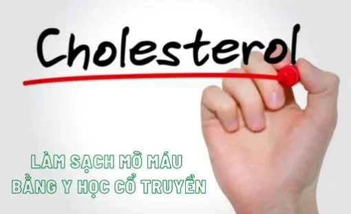 YHCT Làm sạch mỡ máu bằng Y học Cổ truyền