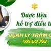 YHCT dược liệu hỗ trợ trầm cảm lo âu