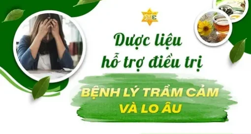 YHCT dược liệu hỗ trợ trầm cảm lo âu