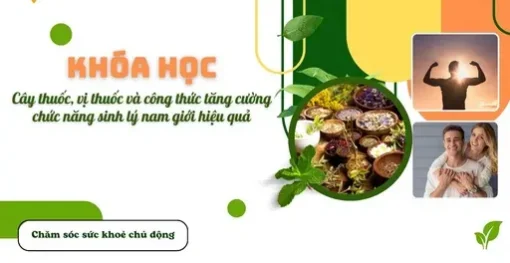 YHCT vị thuốc tăng cường sinh lý nam