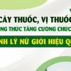 YHCT vị thuốc tăng cường sinh lý nữ