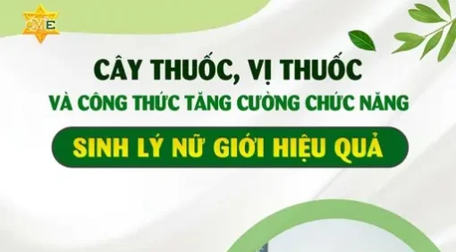 YHCT vị thuốc tăng cường sinh lý nữ