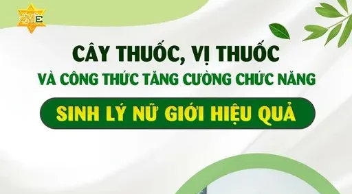 YHCT vị thuốc tăng cường sinh lý nữ YHCT vị thuốc tăng cường sinh lý nữ