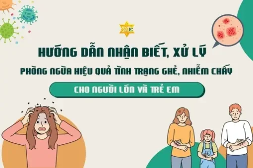Nhận biết và chăm sóc tình trạng ghẻ, nhiễm chấy hiệu quả